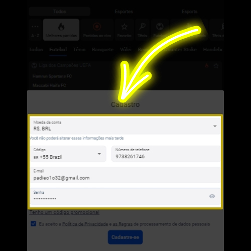 Aposte nas loterias online
