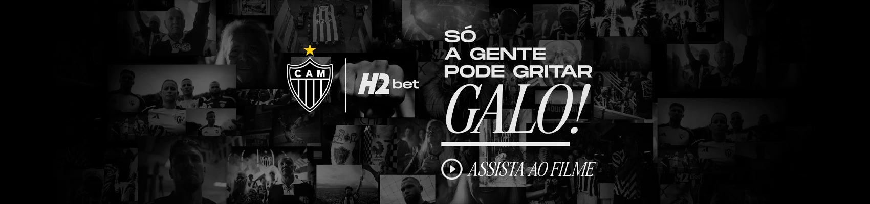 Bet 7 sport