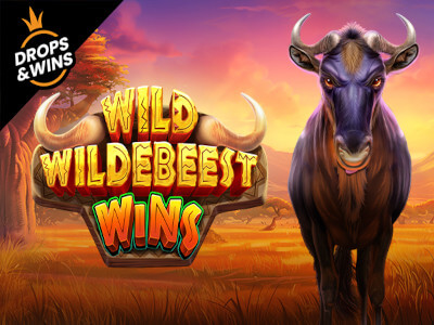Sport bet aposta